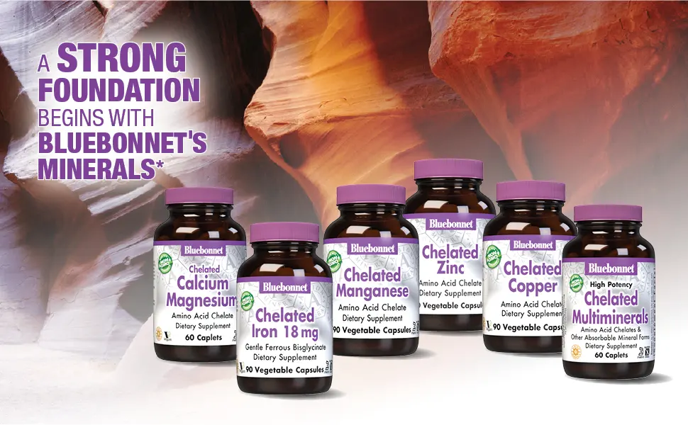 Bluebonnet Nutrition Extra Strength Chelated Iron 27 mg 90 Vegetable Capsules - Albion Minerals