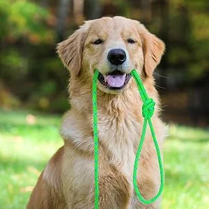 Accessory Cord Prusik Cord Double Braid Pre Cut Marine Rope Nylon Rope - Green 8mm - 100FT 30 M - product information 4