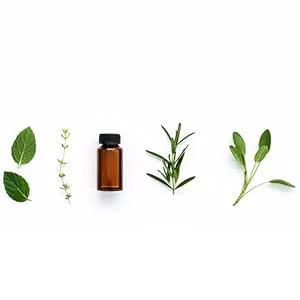 Desert Essence Relief Spray 4 fl oz (118.2 ml) - Essential Oil Herbs
