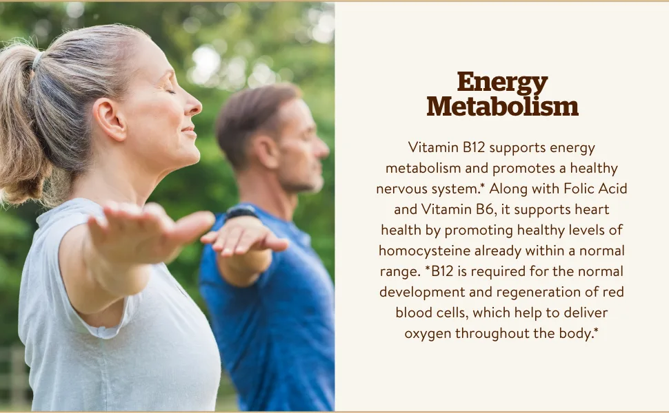 Solgar Vitamin B12 100 mcg 100 Tablets - Solgar