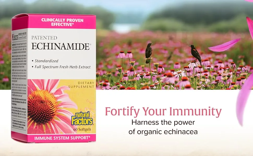 Natural Factors Patented Echinamide 60 Softgels - Fortify Your Immunity; Harness the power of organic echinacea