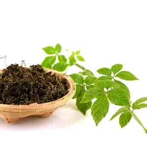 Paradise Herbs Jiaogulan 60 Vegetarian Capsules - product information 4