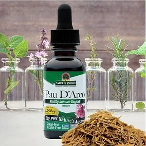 Nature's Answer Pau D' Arco Alcohol-Free 2000 mg 1 fl oz (30 ml) - Nature
