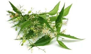 Himalaya Purifying Neem Mask 5.07 fl oz (150 ml) - product information 3