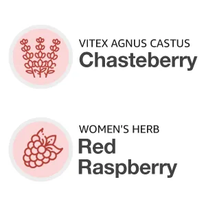Fairhaven Health FertiliTea for Preconception 3 oz - chasteberry red raspberry