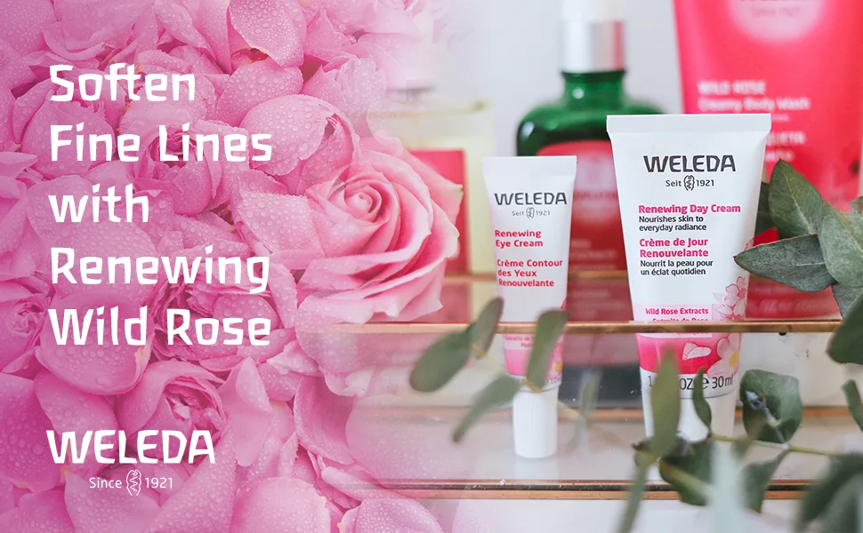 Weleda Renewing Day Cream Wild Rose Extracts Normal to Dry Skin 1.0 fl oz (30 ml) - lotion