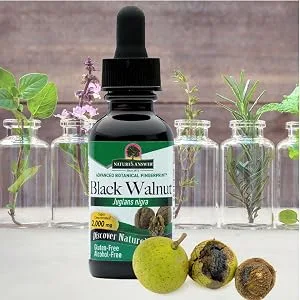 Nature's Answer Black Walnut Alcohol-Free 2000 mg 1 fl oz (30 ml) - Nature