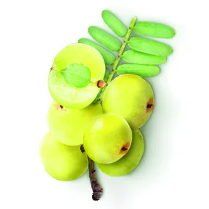 Himalaya Amla 60 Caplets - amla