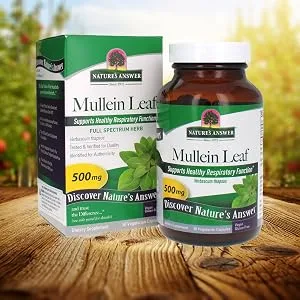 Nature's Answer Mullein Leaf 500 mg 90 Vegetarian Capsules - Mullein, Bronchial