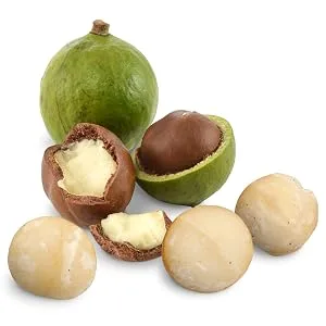 Sunfood Raw Organic Macadamia Nuts 8 oz (227 g) - Macadamia Nuts