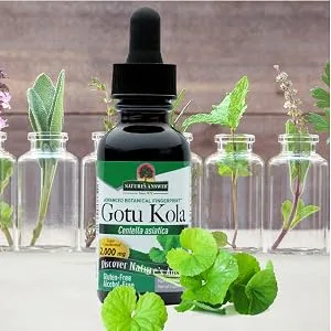 Nature's Answer Gotu Kola Alcohol-Free 1 fl oz (30 ml) - Nature
