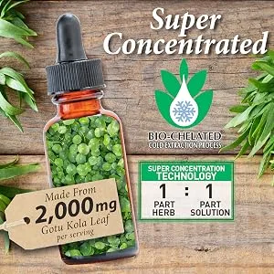 Nature's Answer Gotu Kola Alcohol-Free 1 fl oz (30 ml) - Nature