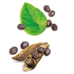 Himalaya Organic Mucuna 60 Caplets - mucuna