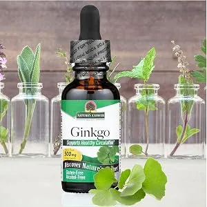 Nature's Answer Fluid Extract Ginkgo Leaf Alcohol-Free 2000mg - 2 Fl. Oz. - Nature