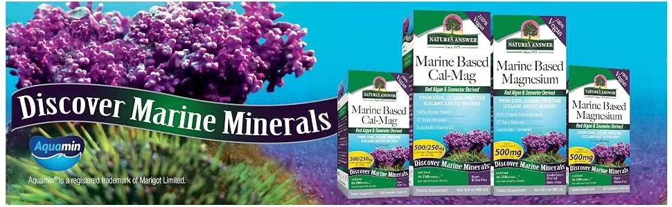 Nature's Answer Marine Based Magnesium 500 mg 90 Vegetarian Capsules - Nature