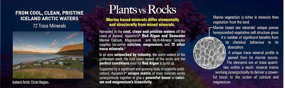 Nature's Answer Marine Based Magnesium 500 mg 90 Vegetarian Capsules - Nature