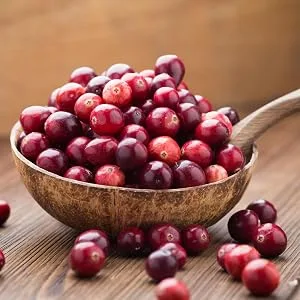 Nature's Answer Cranberry 800 mg 90 Vegetarian Capsules - Holistically Balanced, Herbs, Nature