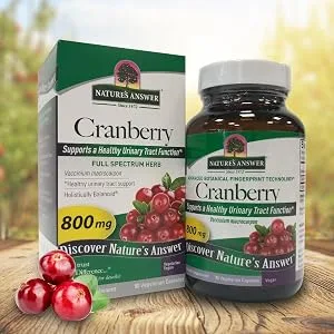 Nature's Answer Cranberry 800 mg 90 Vegetarian Capsules - Nature
