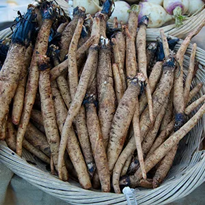 Frontier Natural Products Organic Cut & Sifted Burdock Root 16 oz (453 g) - FRONTIER CO-OP BURDOCK ROOT Cut & Sifted, Organic, Kosher, Non-irradiated, Sustainably Grown