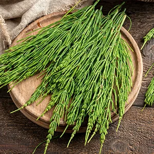 Frontier Co-op Organic Cut & Sifted Horsetail Herb (Shavegrass) 16 oz (453 g) - SUSTAINABLY GROWN