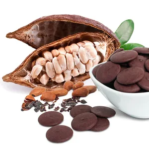 Sunfood Organic Cacao Paste 1 lb (454 g) - Cacao Pod & Wafers