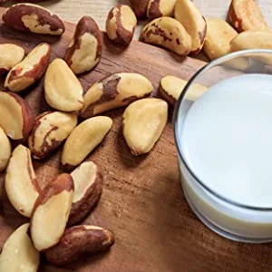 We Got Nuts Brazil Nuts - 1 Lb. (453 grams) - Brazil Nuts