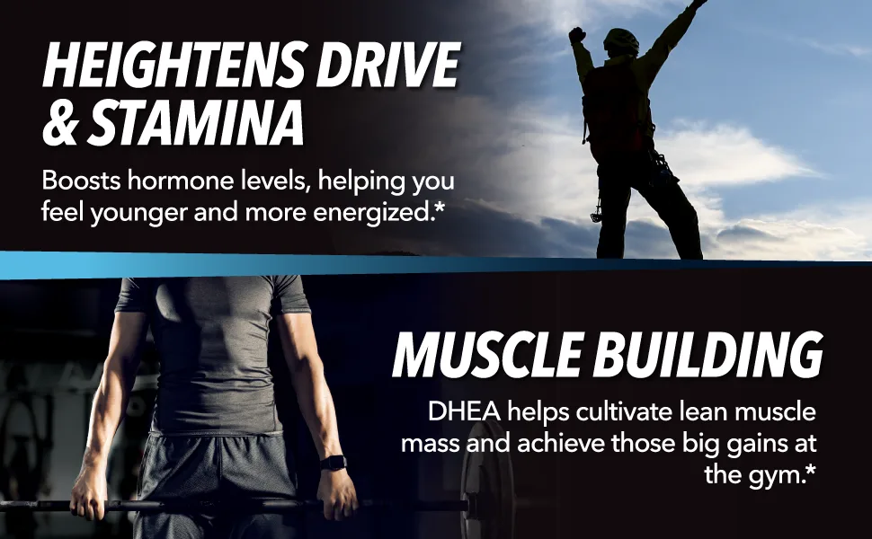 Havasu Nutrition DHEA 50mg Extra Strength Designed for Promoting Youthful Energy - 60 Capsules - dhea supplement for men dhea supplement life dhea dhea for women pure dhea