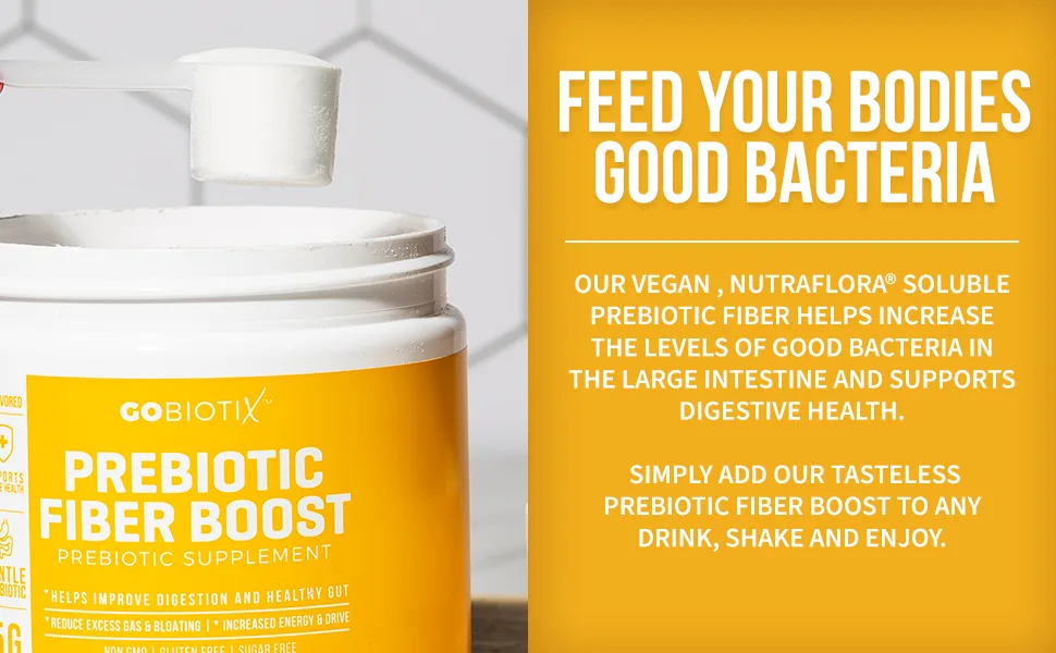 GoBiotix Prebiotic Fiber Boost Powder Support a Healthy Gut & Digestive Regularity - 189 Gram - potassium powder jerusalem artichoke mens health supplements dietary probiotic strains vegetable