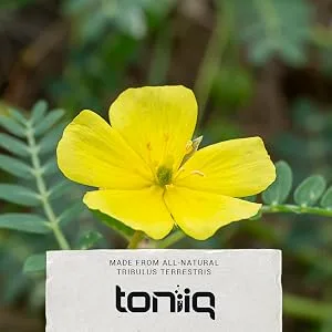 Toniiq Ultra High Strength Tribulus Testosterone Booster - 120 Caps - Tribulus