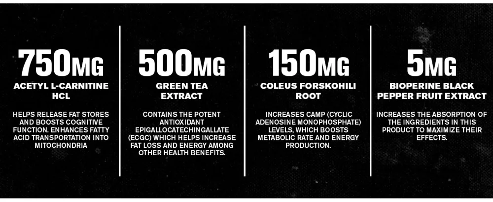 Jacked Factory Lean-XT Non Stimulant Fat Burner - 60 Capsules - desktop