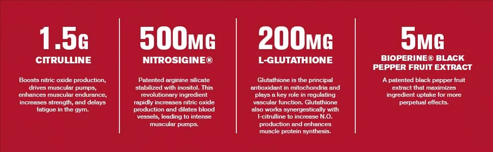 N.O. XT Nitric Oxide Supplement with Nitrosigine L Arginine & L Citrulline for Muscle Growth, Pumps, Vascularity, & Energy - Extra Strength Pre Workout N.O. Booster & Muscle Builder - 90 Veggie Pills 90 Count (Pack of 1) - ingredients