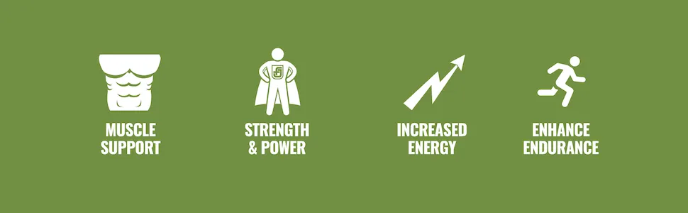Jacked Factory INTRASURGE Intra Workout Energy BCAA Powder  - Muscle Support, Strength & Power, Increased Energy, & Enhance Endurance