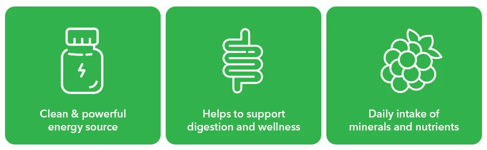 Vitamin Bounty Greens for Keto - Berry - 20 Servings - clean and powerful energy source, helps to support digestions and wellness