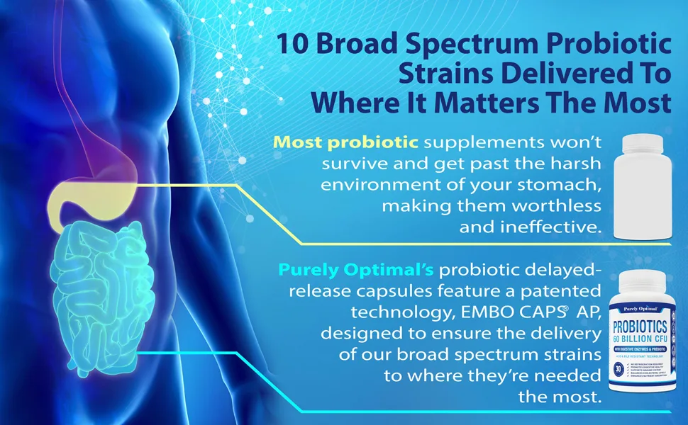PURELY OPTIMAL Premium Probiotics 60 Billion CFU - 30 Capsules - Purely Optimal Probiotics Difference
