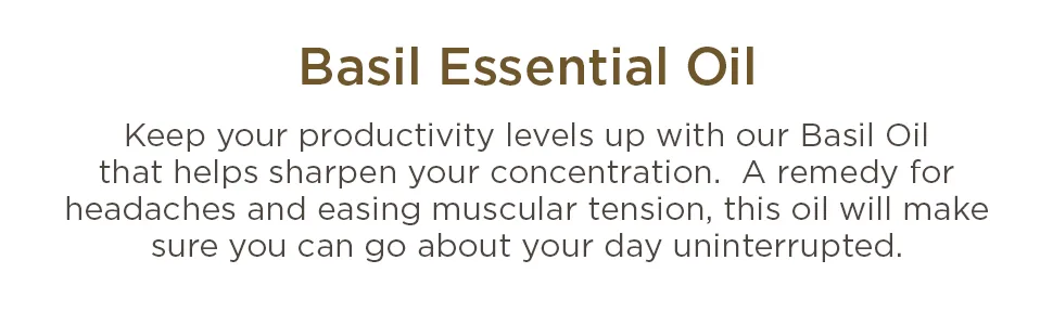 Gya Labs Basil Essential Oil Mind Concentrator for Better Focus & Sore Free Body - 10 ml - basil