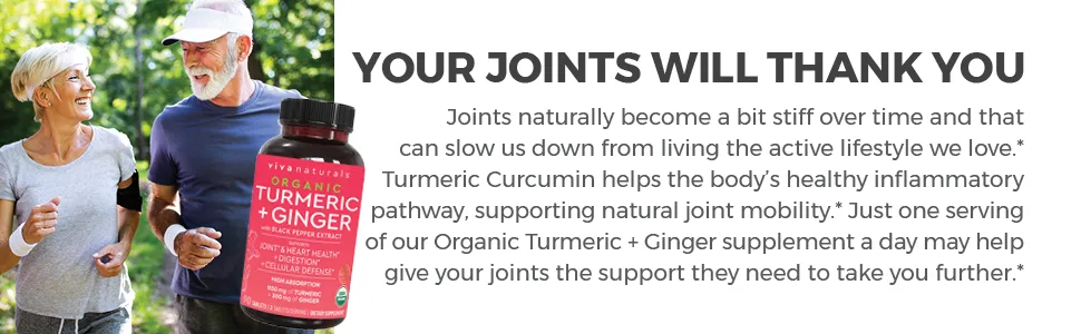 Viva Naturals Organic Turmeric Curcumin - 90 Tablets  - joints