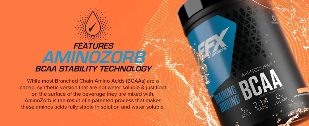 EFX Sports Training Ground BCAA | Fully Stable Highly Soluble Amino Acids Supplement | Pre Intra or Post Workout | Sugar Free | 500 Grams (Strawberry Peach) - EFX BCAA