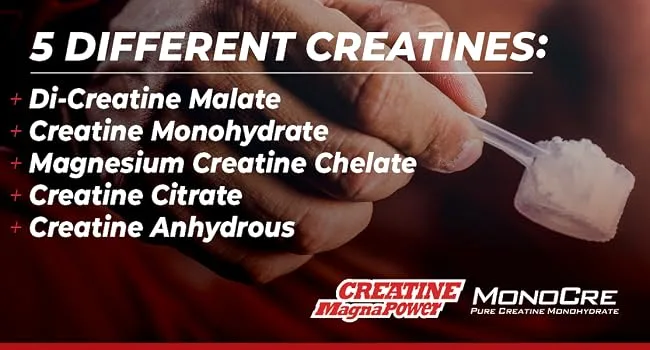 iSatori Creatine A5X 5 Phase Creatine Powder with Creatine Monohydrate & Betaine Anhydrous Stim-Free Pre Workout Muscle Builder & Post Workout Recovery Powder Unflavored (50 Servings) - building mass unflavored cell 5g glutamine gym lifting muscular advanced platinum alpha gnc blend