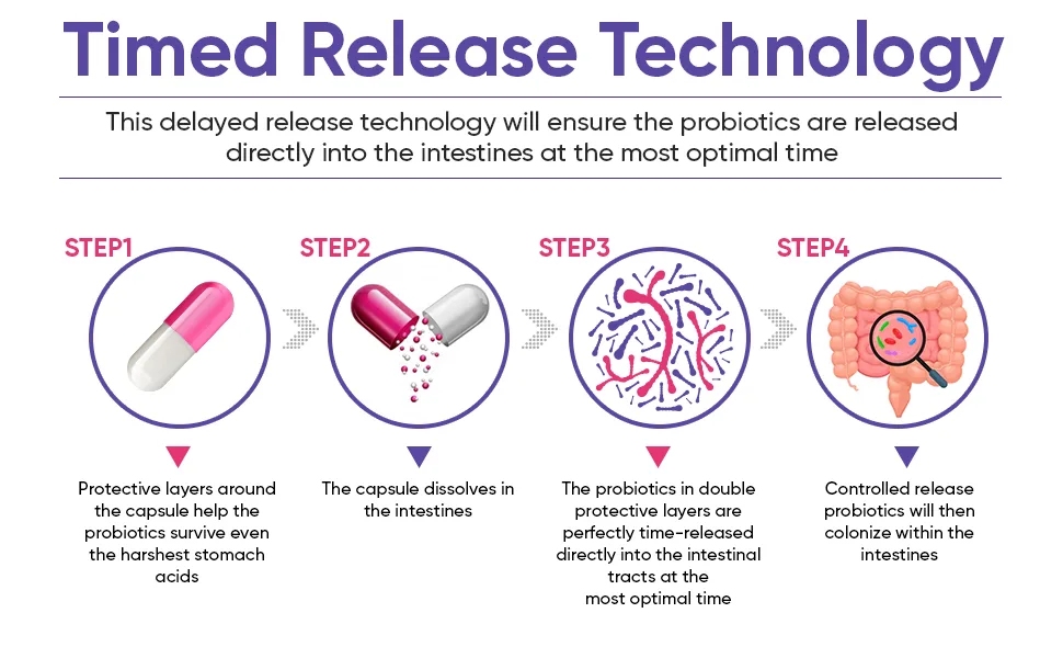 Wholesome Raw Probiotics for Women 100 Billion CFUs - 60 Capsules - Timed Release Technology