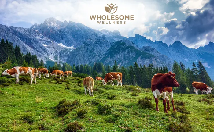 Wholesome Grass Fed Desiccated Beef Liver - 180 Capsules - Beef Liver