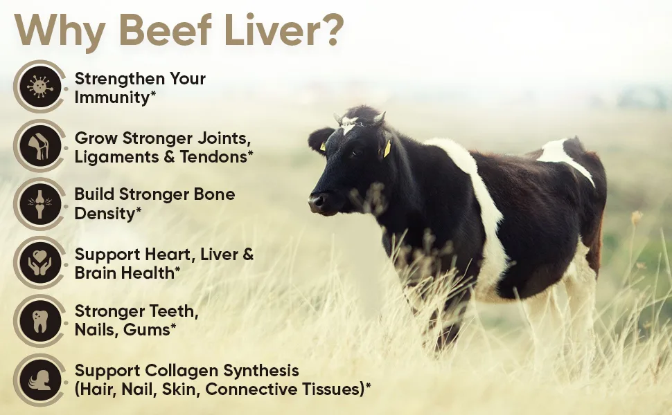 Wholesome Grass Fed Desiccated Beef Liver - 180 Capsules - Benefits